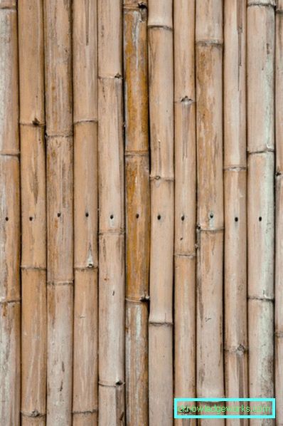 238-Bamboo tapeter - 100 fantastiska bilder