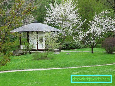 309-japansk stil Gazebo