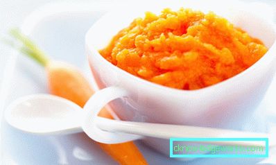 Blender med munstycke för potatismos Blender med munstycke för potatismos