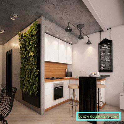 Design kök-vardagsrum område på 16 kvadratmeter. m