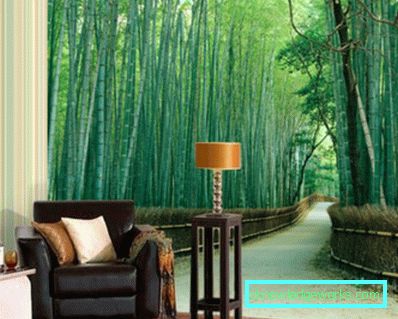 224-Photowallpapers - 140 bildvarianter