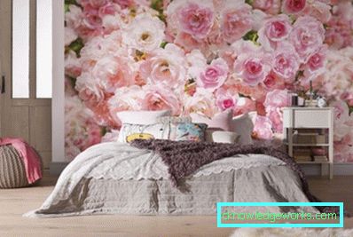 224-Photowallpapers - 140 bildvarianter