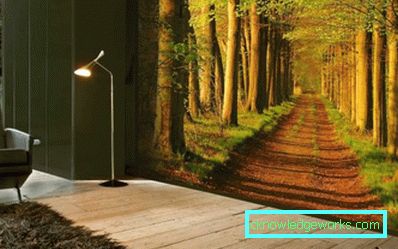 224-Photowallpapers - 140 bildvarianter