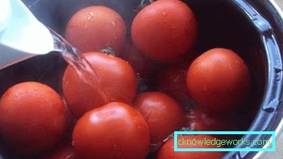 42-Hur man gör bulgarsk peppar