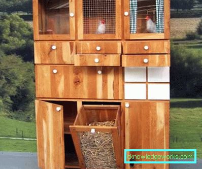 156-DIY Coop