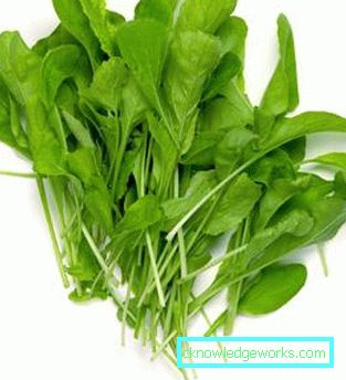 209 Leafsallad