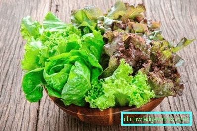 209 Leafsallad