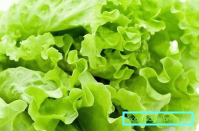 209 Leafsallad