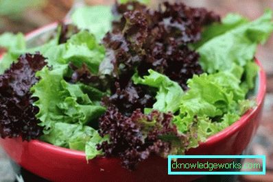 209 Leafsallad