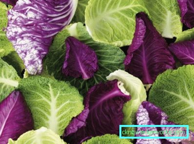 209 Leafsallad
