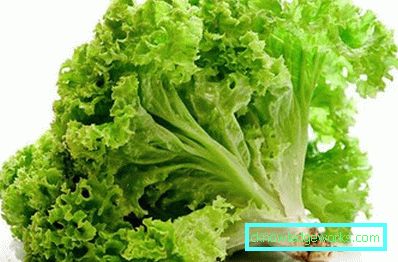 209 Leafsallad