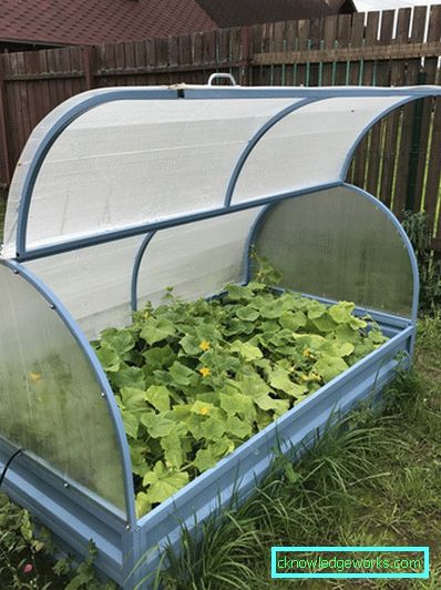 Polykarbonat växthus: typer och fördelar Polykarbonat växthus: typer och fördelar