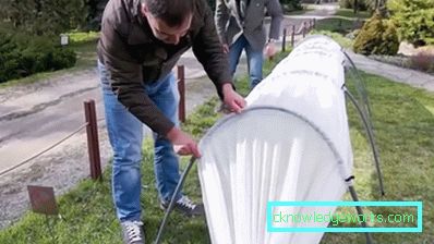 Växthus från bågar med täckmaterial: beskrivning och användning Växthus från bågar med täckmaterial: beskrivning och användning