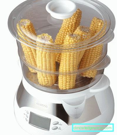 Kenwood Steamer Kenwood Steamer