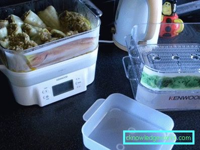 Kenwood Steamer Kenwood Steamer