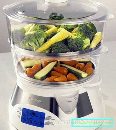 Kenwood Steamer Kenwood Steamer