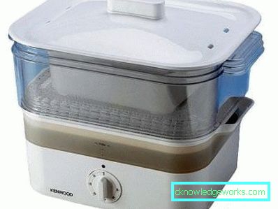 Kenwood Steamer Kenwood Steamer