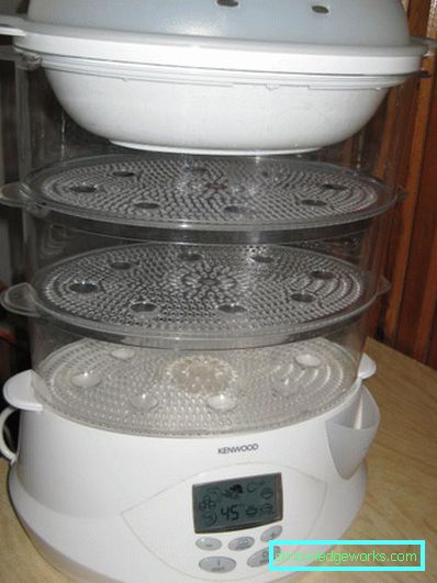 Kenwood Steamer Kenwood Steamer