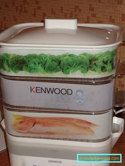 Kenwood Steamer Kenwood Steamer