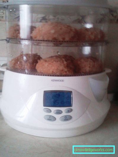 Kenwood Steamer Kenwood Steamer