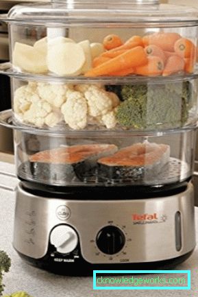 Steamer Tefal och alla dess modeller Steamer Tefal och alla dess modeller
