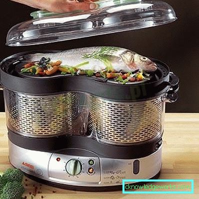 Steamer Tefal och alla dess modeller Steamer Tefal och alla dess modeller