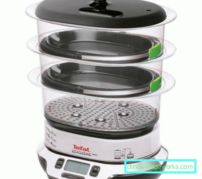 Steamer Tefal och alla dess modeller Steamer Tefal och alla dess modeller