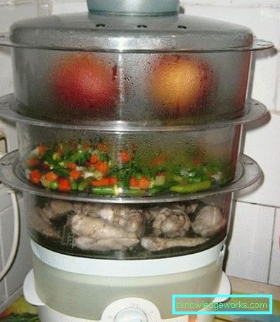Steamer Tefal och alla dess modeller Steamer Tefal och alla dess modeller