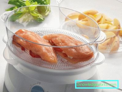 Steamer Tefal och alla dess modeller Steamer Tefal och alla dess modeller