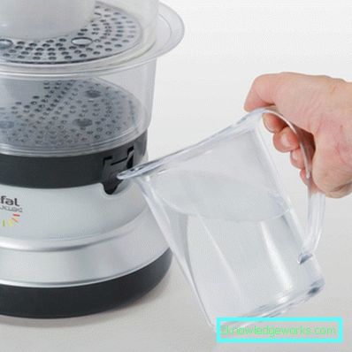 Steamer Tefal och alla dess modeller Steamer Tefal och alla dess modeller