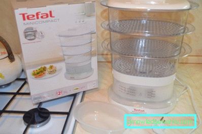 Steamer Tefal och alla dess modeller Steamer Tefal och alla dess modeller