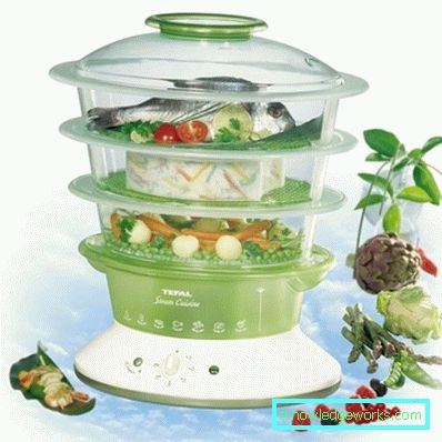 Steamer Tefal och alla dess modeller Steamer Tefal och alla dess modeller