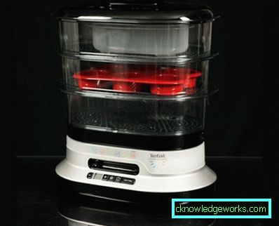 Steamer Tefal och alla dess modeller Steamer Tefal och alla dess modeller