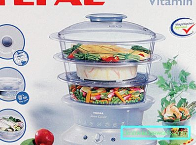 Steamer Tefal och alla dess modeller Steamer Tefal och alla dess modeller
