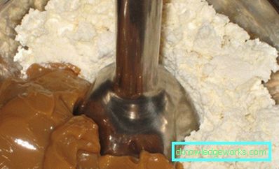 Redmond Immersion Blender Redmond Immersion Blender