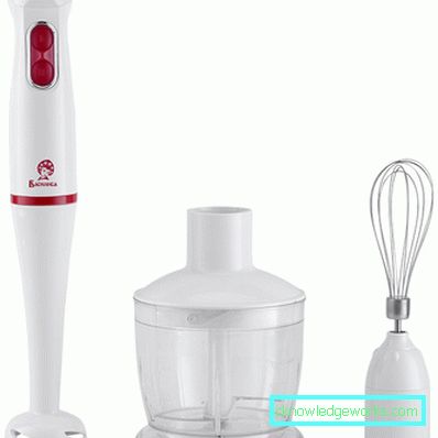 Immersion mixer med en visp Immersion mixer med en visp