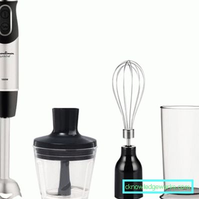 Immersion mixer med en visp Immersion mixer med en visp