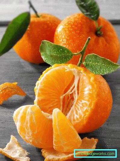 Topp citruspresspress Topp citruspresspress