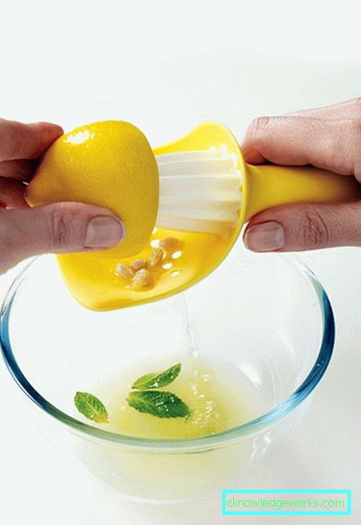 Manuell Juicer Manuell Juicer