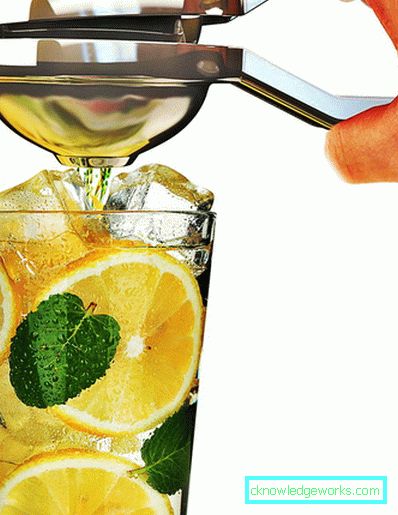Manuell Juicer Manuell Juicer