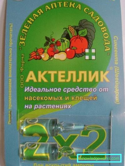 319 Currantsocker