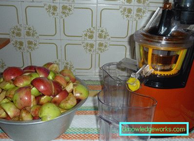 Stor kapacitetsjuicer för äpplen Stor kapacitetsjuicer för äpplen