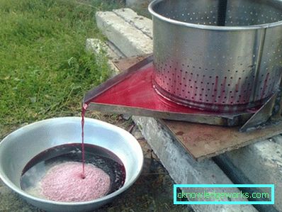 Stor kapacitetsjuicer för äpplen Stor kapacitetsjuicer för äpplen