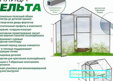 Växthus Växthus