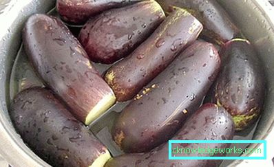 223 Aubergine aptitretare för en festlig
